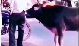 逗乐爆料视频大全下载最新,最新热门搞笑瞬间大盘点